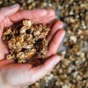 oatmeal cookie granola after baking, clusters held in hands