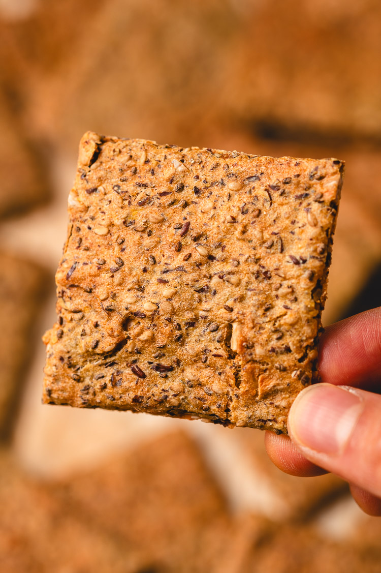 holding a chickpea seed cracker close up