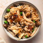 bowl of vegan takikomi gohan